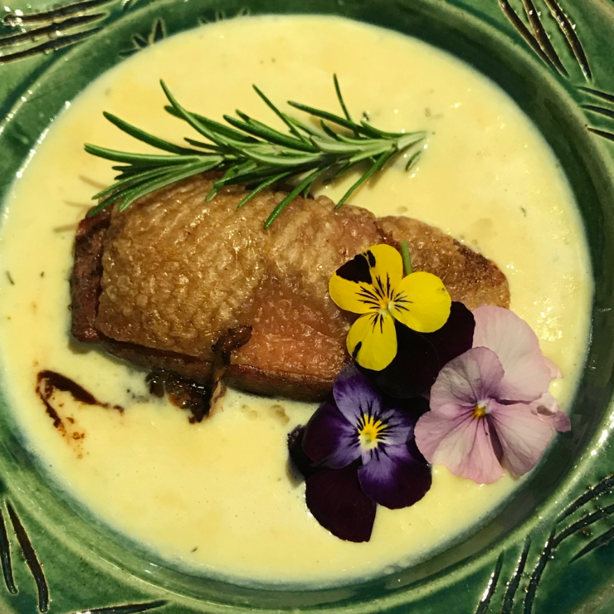 Anne Boleyn inspired recipe - Dodine Blanche (Duck)