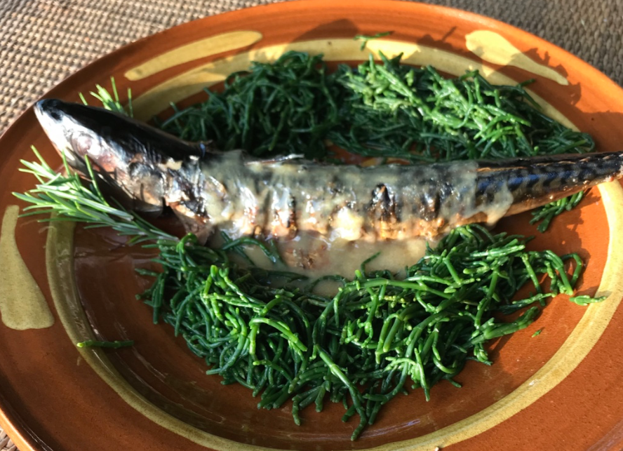 Grilled Mackerel: a summer Tudor recipe