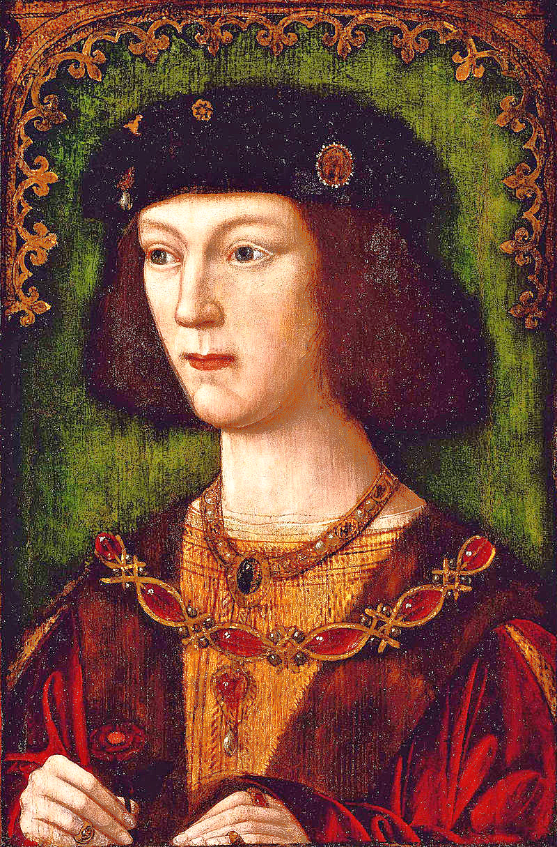 A Young Henry VIII
