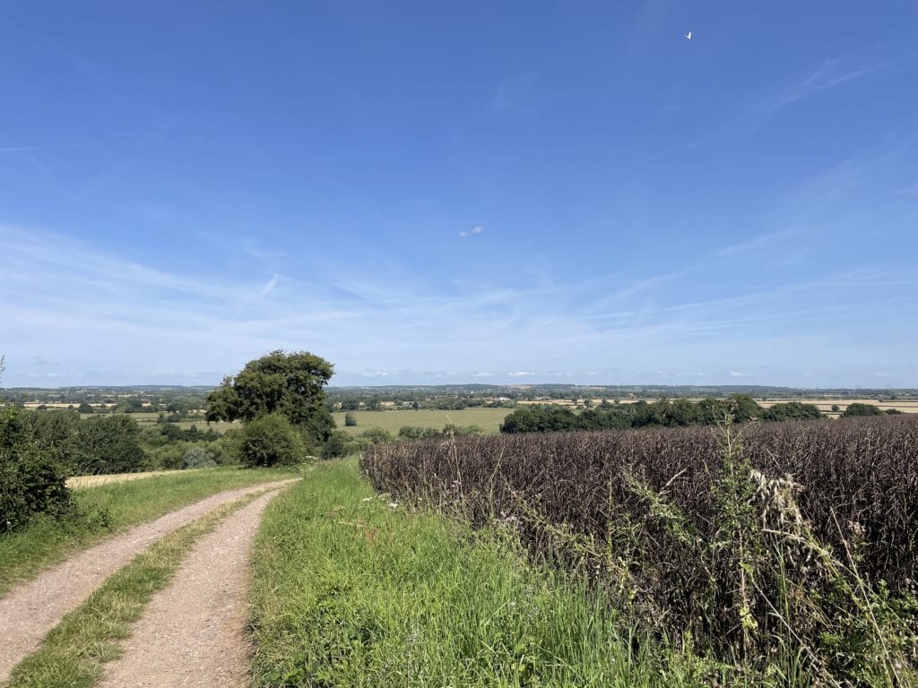 Battle of Stoke Field looking towards the River Trent: