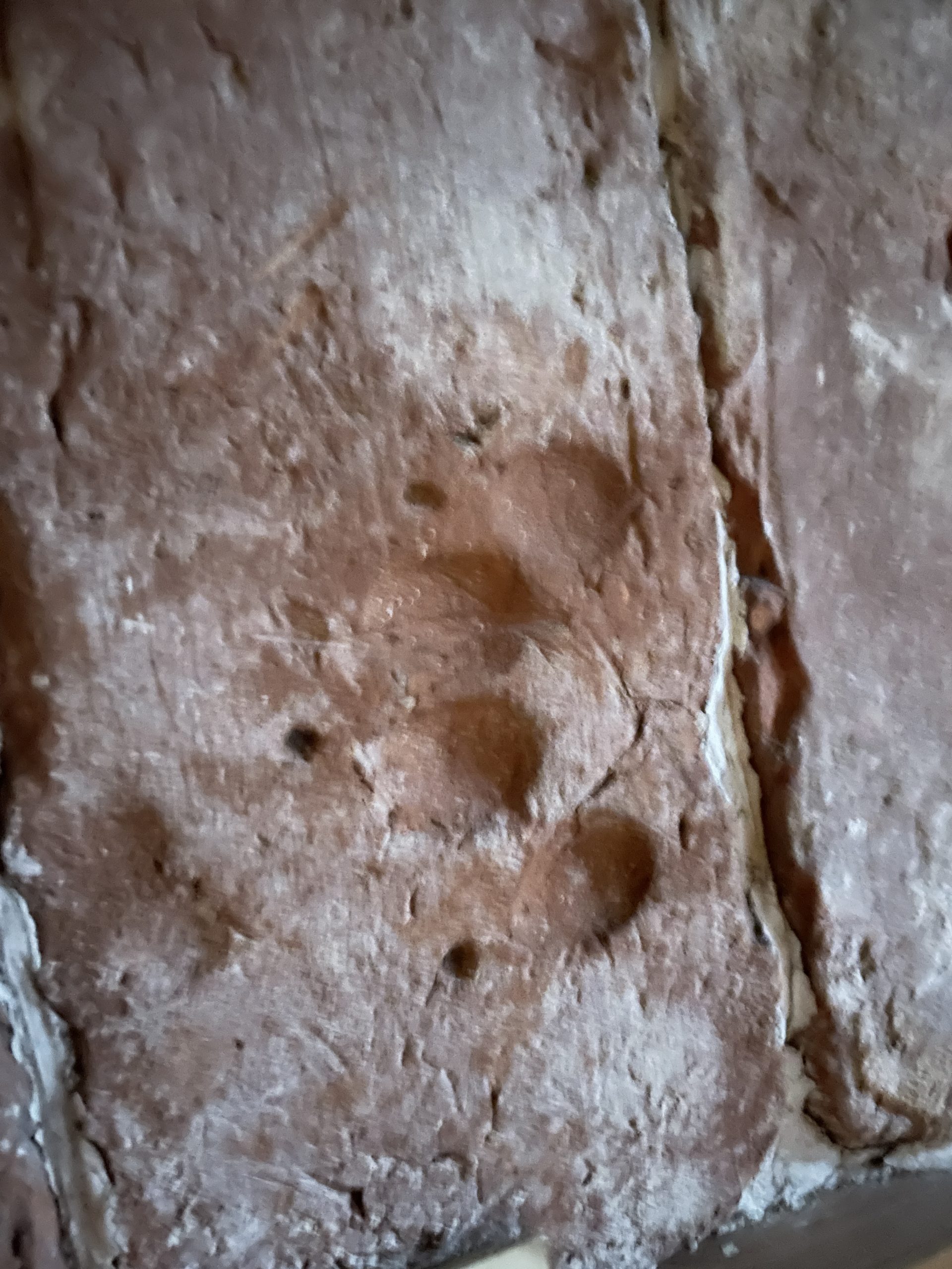 Sutton House & Tudor Hackney Ralph Sadler's NouveauRiche 'Bryk Place