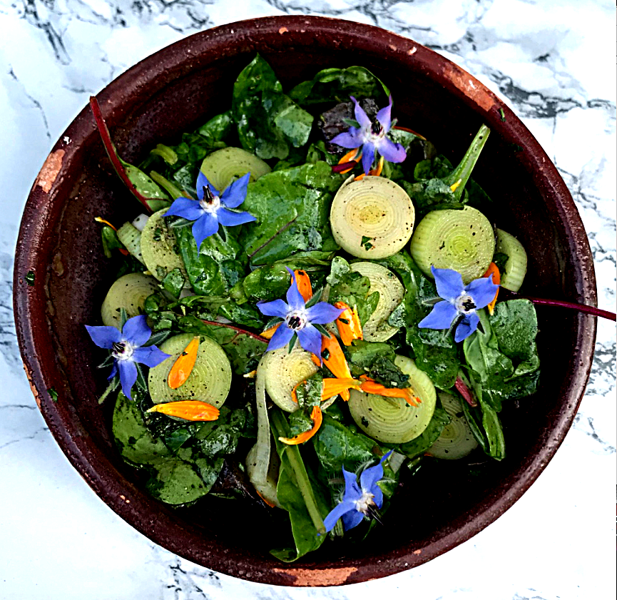 A bowl of a salad of greens from a sixteenth century recipe