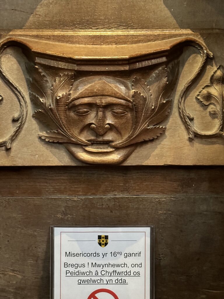 Misericord in the choir at St David's Cathedral.
