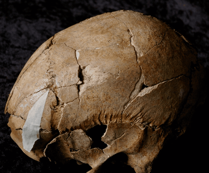 Remains of a skeleton from the Battle of Stoke Field