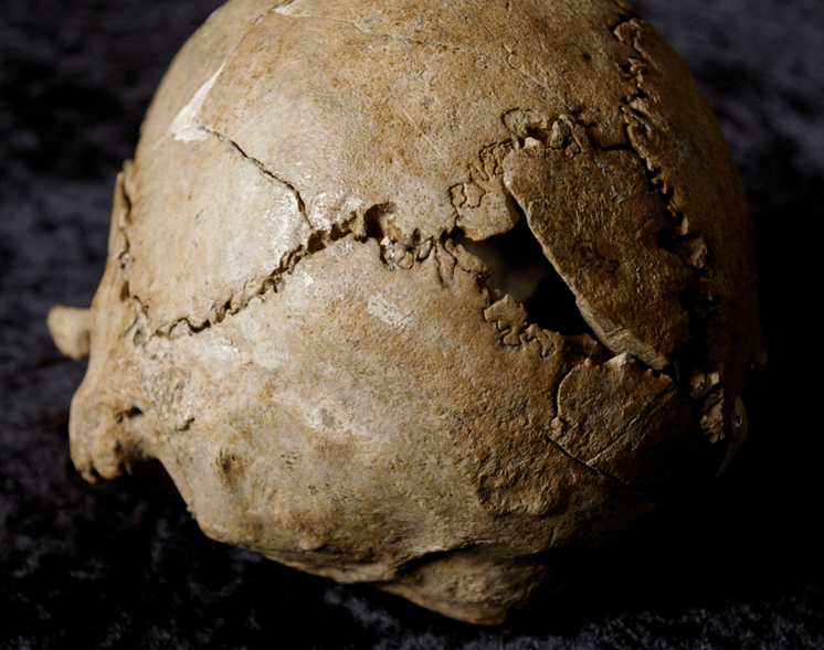 Remains of a skeleton from the Battle of Stoke Field